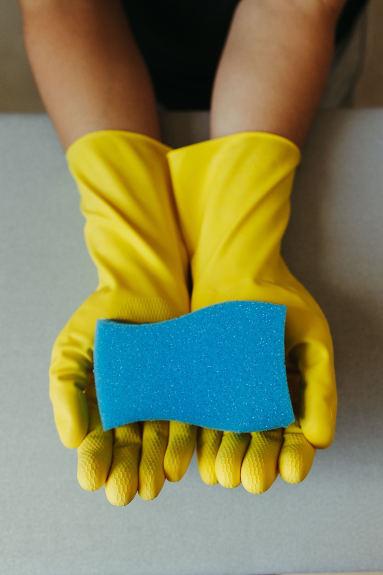 Gloved hands holding a cleaning sponge, ready for a wipe-down